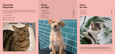 الصفحة 2 من Boarding for dogs and cats