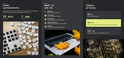 Side 2 av Software product: launch and pricing