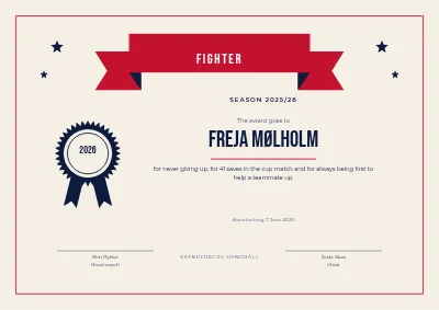 Fighter of the year — handball