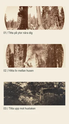 Sida 2 av En stad i tre lager · Nedre titelhuvud