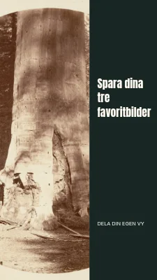 Sida 3 av En stad i tre lager · Nedre titelhuvud