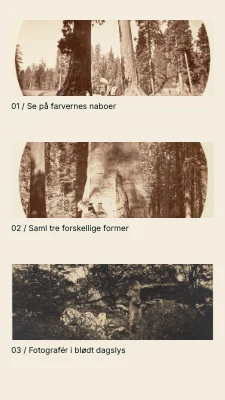 Side 2 af Sæsonens små farver · Kontaktark