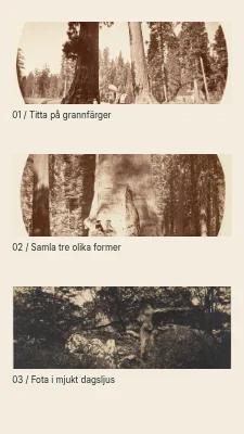 Sida 2 av Säsongens små färger · Kontaktkopia