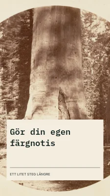Sida 3 av Säsongens små färger · Kontaktkopia