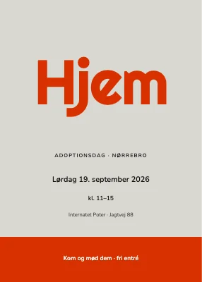 Adoptionsdag på Nørrebro