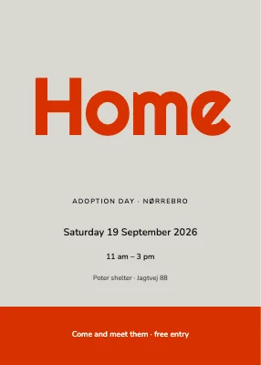Adoption day in Nørrebro