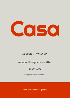 Día de adopción en Nørrebro