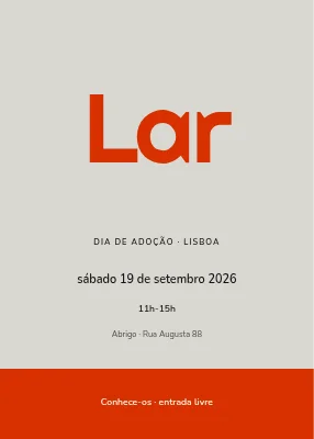 Dia de adoção em Nørrebro