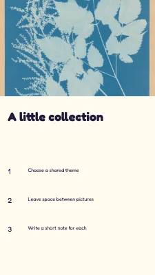 Page 2 of A little collection · vivid learning