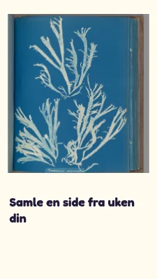 Side 3 av En liten samling · levende læring