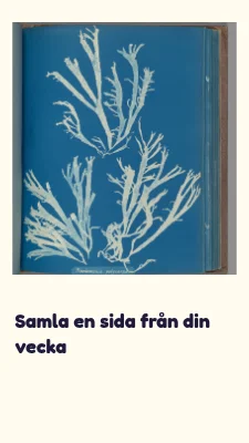 Sida 3 av En liten samling · livfullt lärande