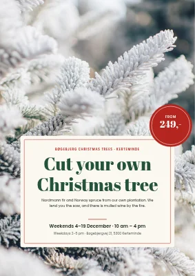 Christmas tree sale at a farm near Kerteminde