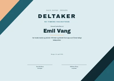 Deltakerbevis — hackathon