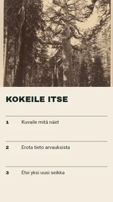 Sivu 2 – Keskusteluja arkiston kanssa · Iso hakemisto