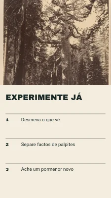Página 2 de Conversas com o arquivo · Índice grande