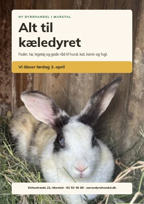 Ny dyrehandel i Marstal