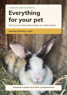 New pet shop in Marstal