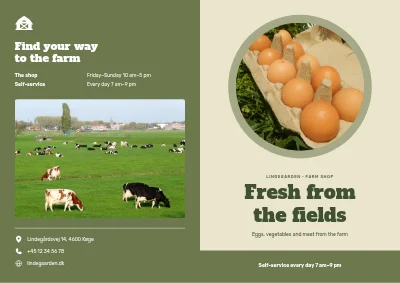 Farm shop with eggs and vegetables