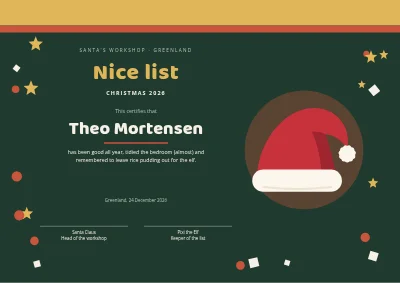 Santa's nice list