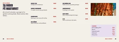 Side 42–43 af Festivalprogram for musik- og kulturfestival – 64 sider