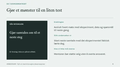 Side 4 av Mentoring med retning