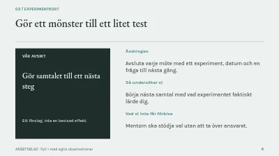 Sida 4 av Mentorskap med riktning