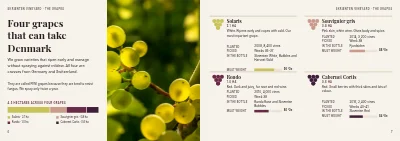 Pages 6–7 of Brochure for a Danish vineyard – 24 pages