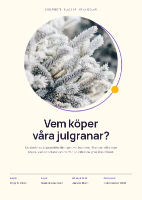 Skoluppgift — julgransförsäljning