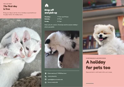 Boarding for dogs and cats
