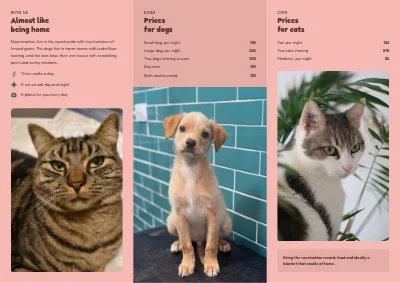 Σελίδα 2 του Boarding for dogs and cats