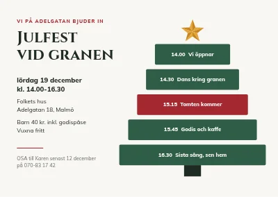 Julgransplundring — programgran