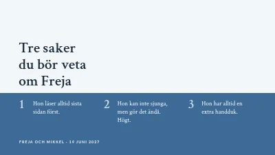 Sida 3 av Bröllopstal med foton