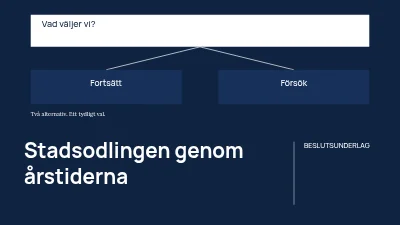 Kolonilotten genom årstiderna