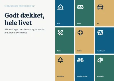 Produktoversigt for forsikringsselskab – 8 sider