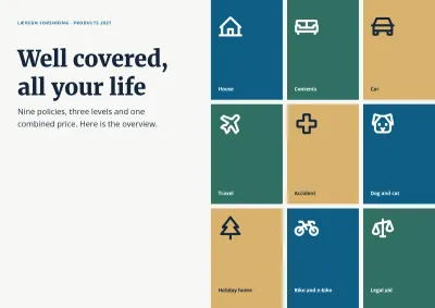 Product overview for an insurance company – 8 pages